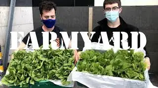 Farmyard harvest day visuals