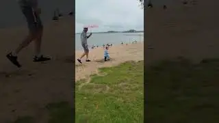 🦆Тимка юный пастушок: встреча с дикими гусями на пляже