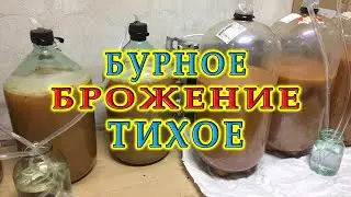 Бурное (активное) и тихое брожение | Ответы на вопросы подписчиков
