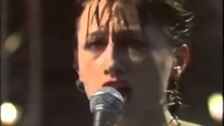 MTV video