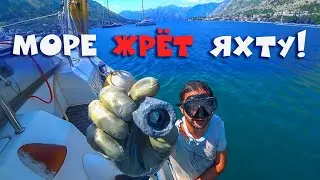 74. Replacing the anode of the propeller underwater and the Maritime Museum of Montenegro. Living...