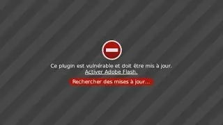 Flash player