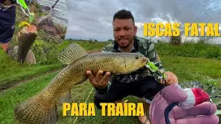 COMO melhorar o trabalho ISCA Frog na pescaria de TRAÍRA!