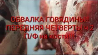 ОБВАЛКА ГОВЯДИНЫ! ПЕРЕДНЯЯ ЧЕТВЕРТЬ! ч 2  П Ф на кости!