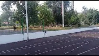 КУЛЬБИТ В АРАБСКОЕ САЛЬТО