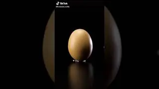 Experiment   Egg Place on Salt Crystals
