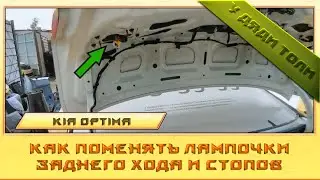 Как заменить лампы заднего хода в киа оптима