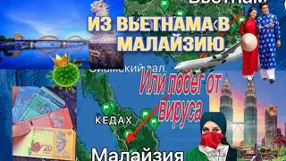 📔-Дневник перелетной птицы #24. «Из Вьетнама в Малайзию, или побег от вируса».