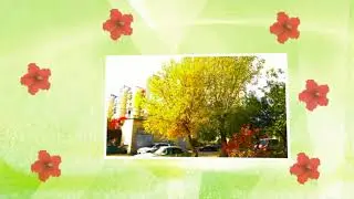 Догорает осень