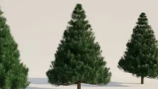 Create Well Shaped Christmas Tree in Blender and Render using Cycles Engine