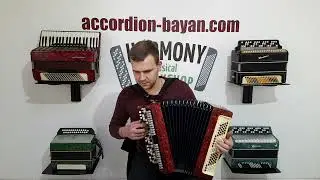 Folk Original Tula Russian Bayan Etude Chromatic button accordion 3 rows 100 bass buttons
