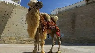 UZBEKISTAN FINEST CULTURE (preview video for tourists!)