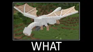 Wait What Minecraft Meme - part 274