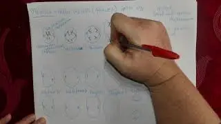 Meiosis Notes 2020