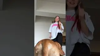 COOPER no me deja BAILAR 🤣🐶🌭