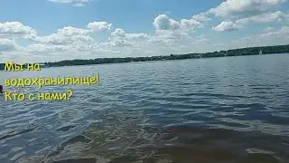 За город! Поездка на Пироговское водохранилище! На канал имени Москвы.