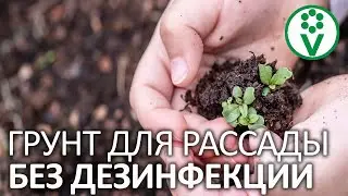 ЭТОМУ ГРУНТУ НЕ НУЖНА ДЕЗИНФЕКЦИЯ! Живой грунт для рассады без патогенов и вредителей