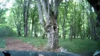 По лесу с Орта  Сырт на Караби  Яйлу