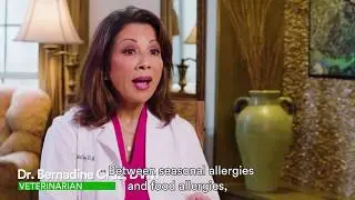 Allergy Support Plus