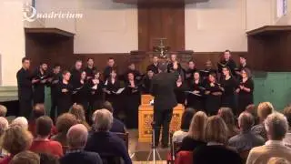 Bonzorno Madonna (Scandello) @ VOK-HSK concert