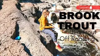Brook Trout Adventure-Big Trout and Off-Roading Grand Marais, MN