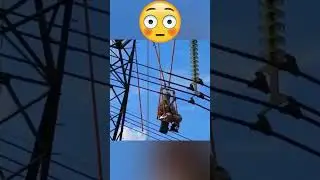 Respect⚡⚡⚡under voltage 765000 V⚡⚡⚡