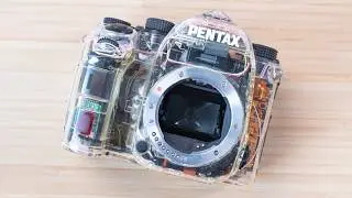 The Rarest DSLR I've Ever Found