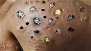 منعش طوال اليوم مع ناسا 21155