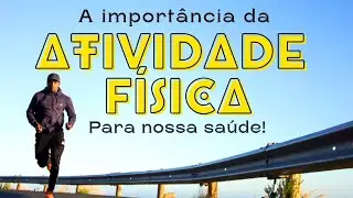 Como a atividade física é essencial para nossa saúde!