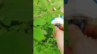 Бабушка дача  и Насос  ручеек дубль три