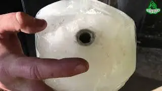 БИМБА ИЗОЛЬДА