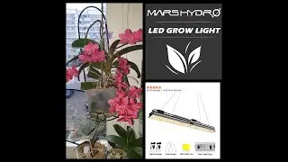 New super lamps for orchids and other plants Mars Hydro