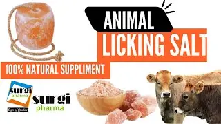 Himalayan Animal Licking Salt: A Natural Supplement for Livestock