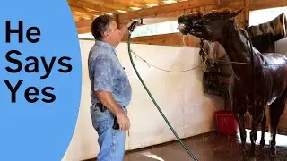Hank thinks this is a good idea!