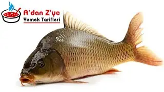 Sazan Balığı Temizleme ve Saç Tavada Pişirme | Kolay ve Lezzetli Tarifler