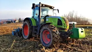 TALERZOWANIE PO KUKURYDZY 2021! 🔥 CLAAS ARES 697 ATZ 💚 NAMYSLO ROOBIN 30
