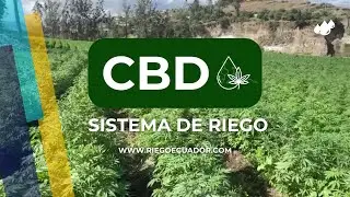 CBD Sistema de Riego
