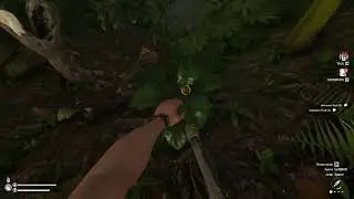 Green Hell Basic Starting Guide getting to Drug Lab Base