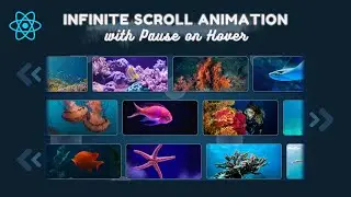 Infinite Horizontal Scroll Animation in React JS | Marquee Effect with Pause on Hover 