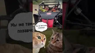 #экстрим #любовь #юмор
