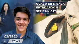 Qual a diferença entre afixo e série única? - Gironews #39