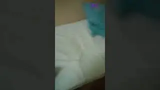 влог.дурдом.утро.19.01.2022