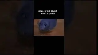 когда ночью решил пойти в туалет... 