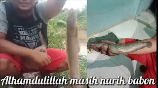 Lele Babon