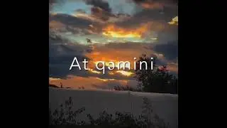 gözlərinin gəl yaşını sil qədeş/whatsapp ucun status videosu💓