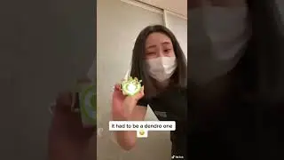 Tighnari’s vision story irl | Genshin Impact 