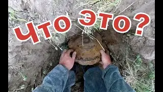 Колхозное поле чудес! Всякое можно откопать!