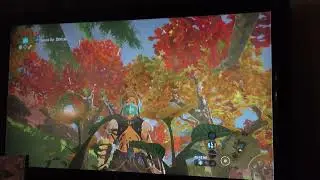 Breath Of The Wild Gameplay
