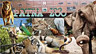 Patna zoo  best adventure animals nature