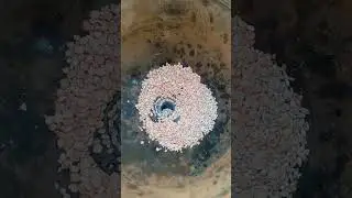 Зернодробилка в работе
